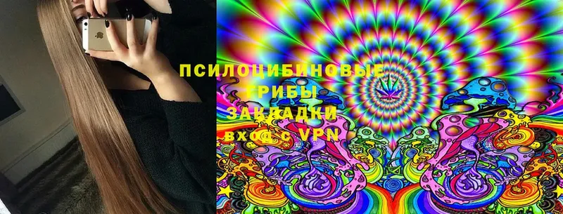 mega зеркало  Верхняя Пышма  Псилоцибиновые грибы Psilocybine cubensis 